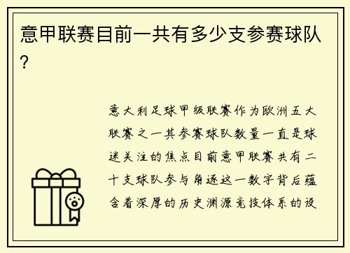 意甲联赛目前一共有多少支参赛球队？