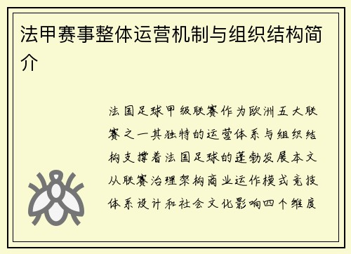 法甲赛事整体运营机制与组织结构简介